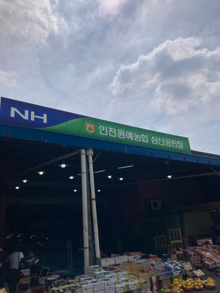 요즘 시장 가보셨나요? "인천 원예농협 삼산 공판장" 방문기