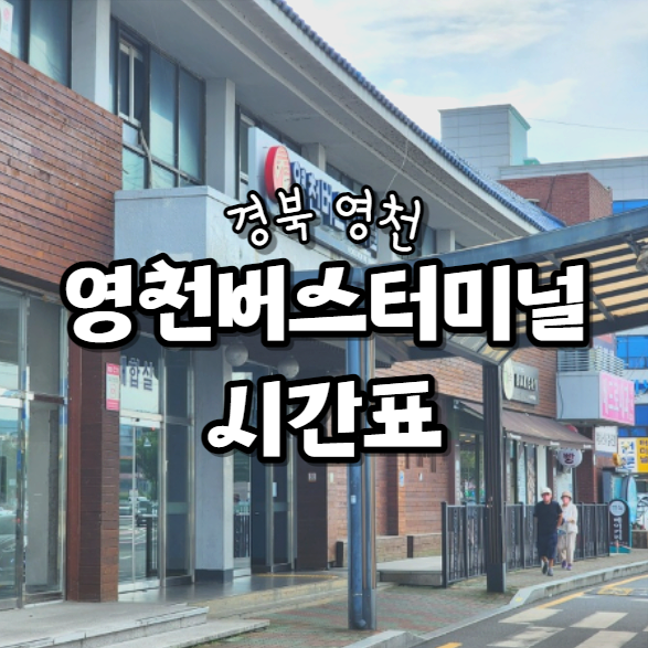  영천시외버스터미널 시간표 최신ver (시내버스 배차 포함)
