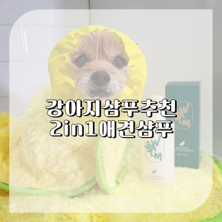  강아지각질샴푸 노견 피부 보습에 순한 펫샴푸