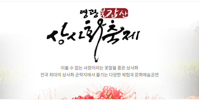  불갑사 상사화축제 기본정보 일정 볼거리 투어 이벤트 총정리