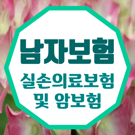  남자암보험 및 남자실비보험 가입의 필요성과 비교에 관한 정보