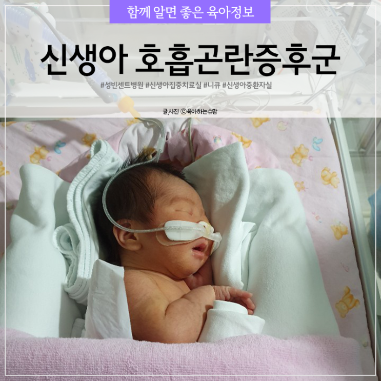  신생아 호흡곤란증후군 성빈센트병원 중환자실 니큐 입원
