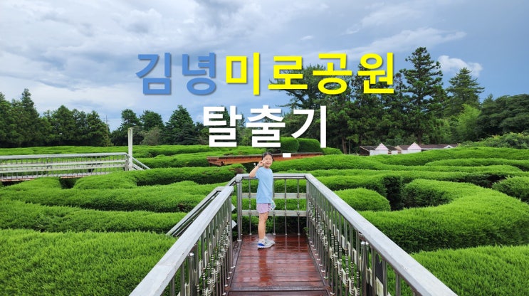 김녕미로공원 탈출기: 재밌어요! - 제주동쪽 즐길거리 김녕미로공원 탈출기: 재밌어요! - 제주동쪽 즐길거리