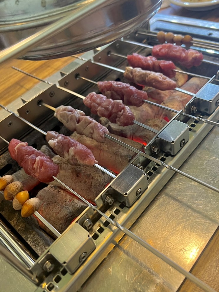  인생 첫 양 꼬치 도전기 - 미미