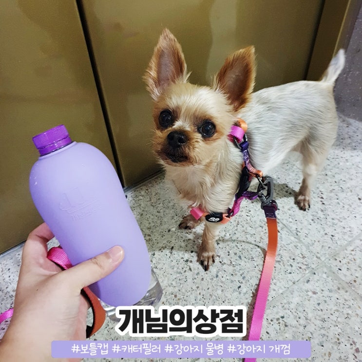 개님의상점 강아지 휴대용 물통 보틀캡 강아지 개껌 후기
