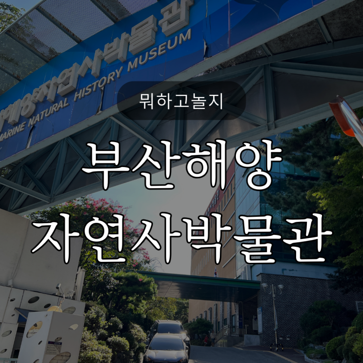  뭐하고놀지?/ 부산해양자연사박물관 / 금강공원 근처 가볼만한 곳