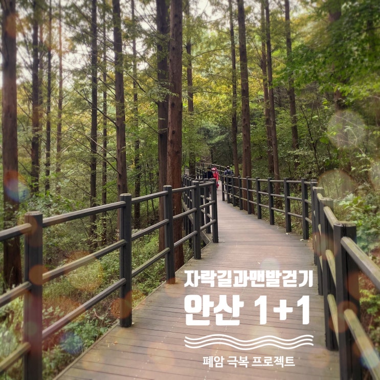  서대문 안산 자락길 한 바퀴 돌고 맨발걷기까지 하니 좋구나