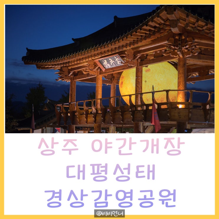 상주경상감영공원 야간개장 반려견동반 방문 후기