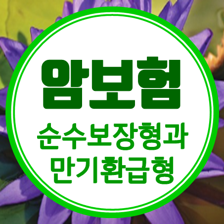  순수보장형과 만기환급형암보험 비교,  소멸형과 만기환급암보험 장점 및 단점과 선택요령