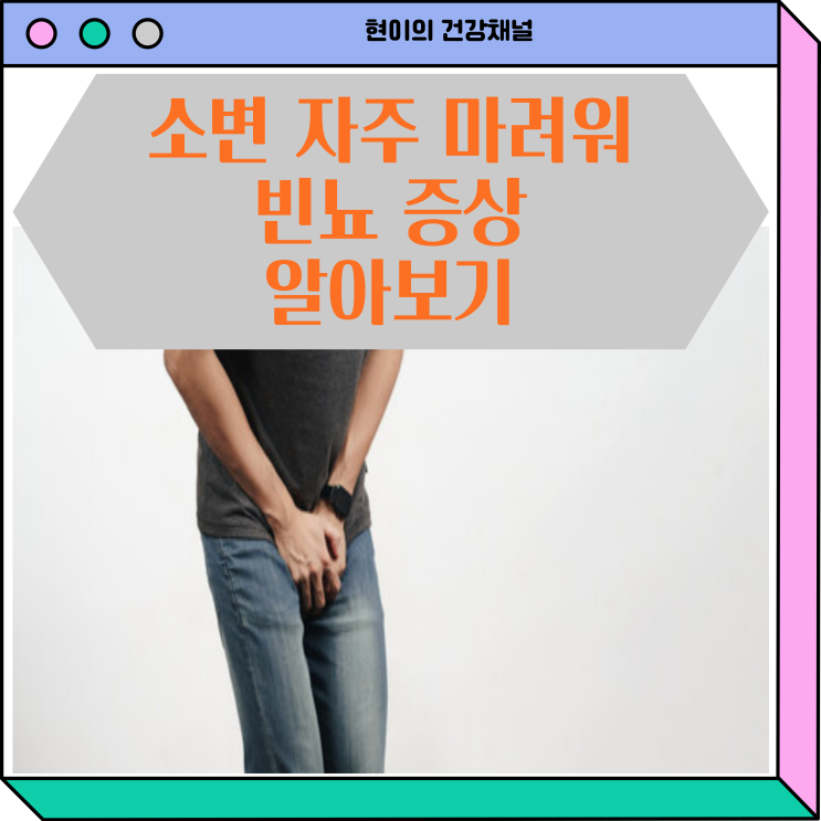  소변 자주 마려움 빈뇨 원인 증상 한방정리