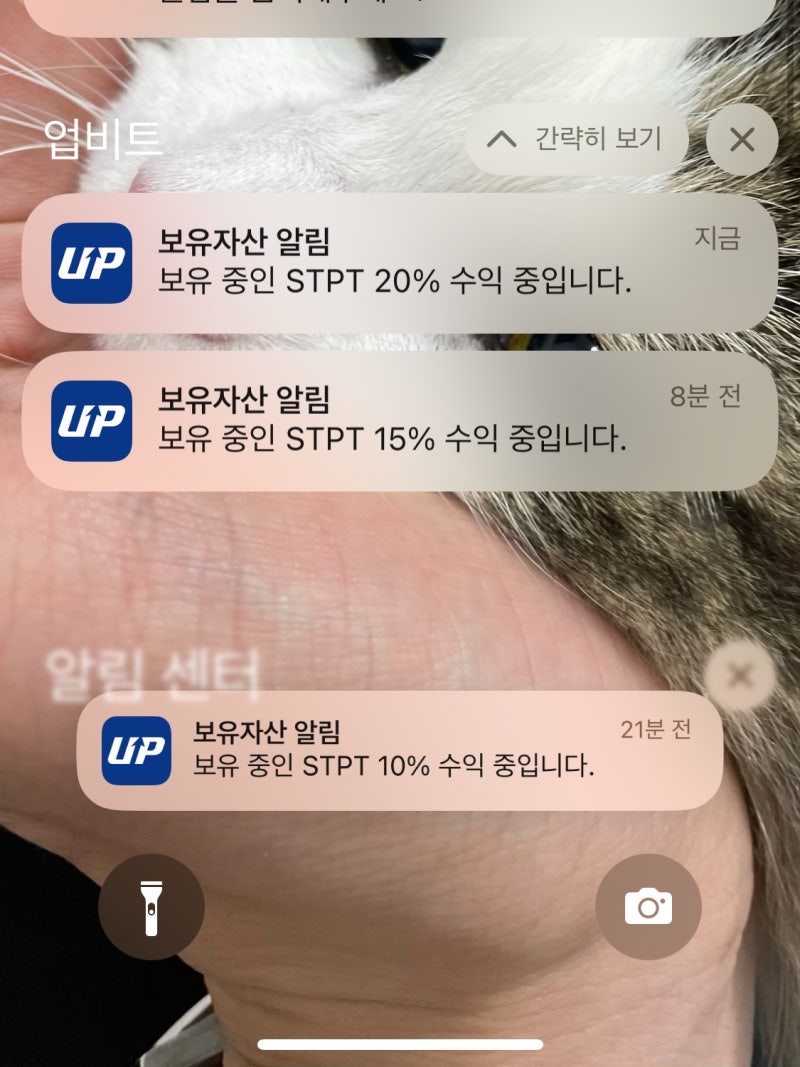 에스티피 코인 STPT 예측 성공 20% 수익 + 시세 전망 : 네이버 블로그
