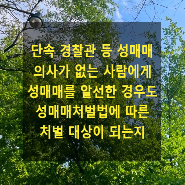 단속 경찰관 등 성매매 의사가 없는 사람에게 성매매를 알선한 경우도 성매매처벌법에 따른 처벌 대상이 되는지