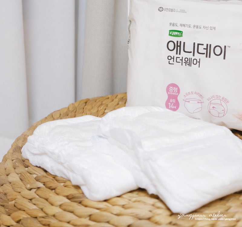 출산전후 요실금 팬티 디펜드 애니데이 언더웨어