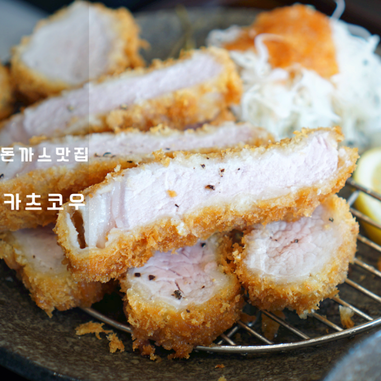  동탄 카츠코우 일본식 돈까스 히레카츠 아부라소바 로스카츠