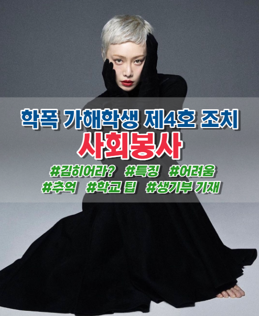  학폭 사회봉사, 가해학생 제4호 조치, 어려움, 팁, 생기부 기재