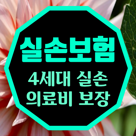  단독실손보험 가입, 4세대 착한실손보험 뜻과 비교 요령