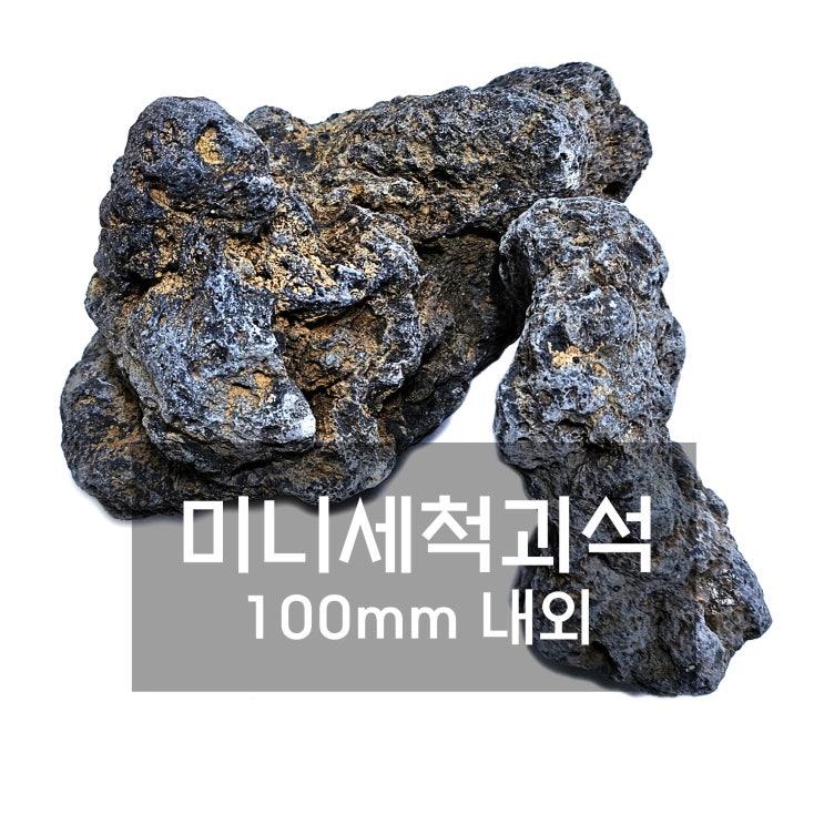  미니 괴석 화산석 실내화단 꾸미기