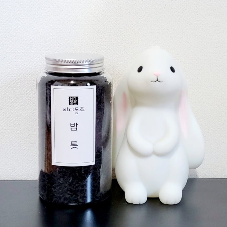  톳아줌마의 밥톳으로 만든 따끈한 톳밥과 즐긴 고기파티