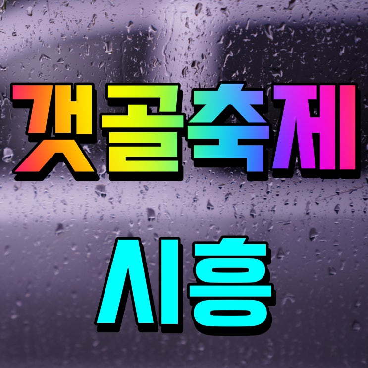  시흥갯골축제 가을 낭만을 느껴보자
