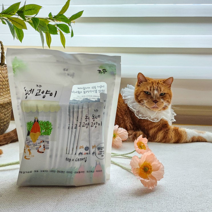  동네 길고양이 간식 네이버펫 조공 대용량 츄르 준비했어요