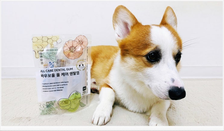  저칼로리간식 강아지 바우보울 올 케어 덴탈껌 S M