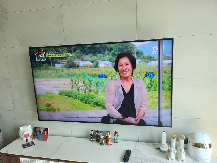  LG65인치 티비 화면파손 가로줄 TV액정수리 로 해결