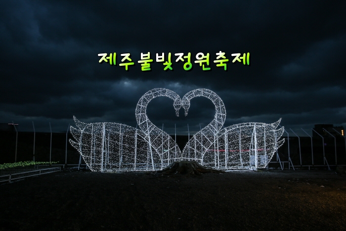 { 제주도 데이트 명소} 제주불빛정원! { 제주도 데이트 명소} 제주불빛정원!