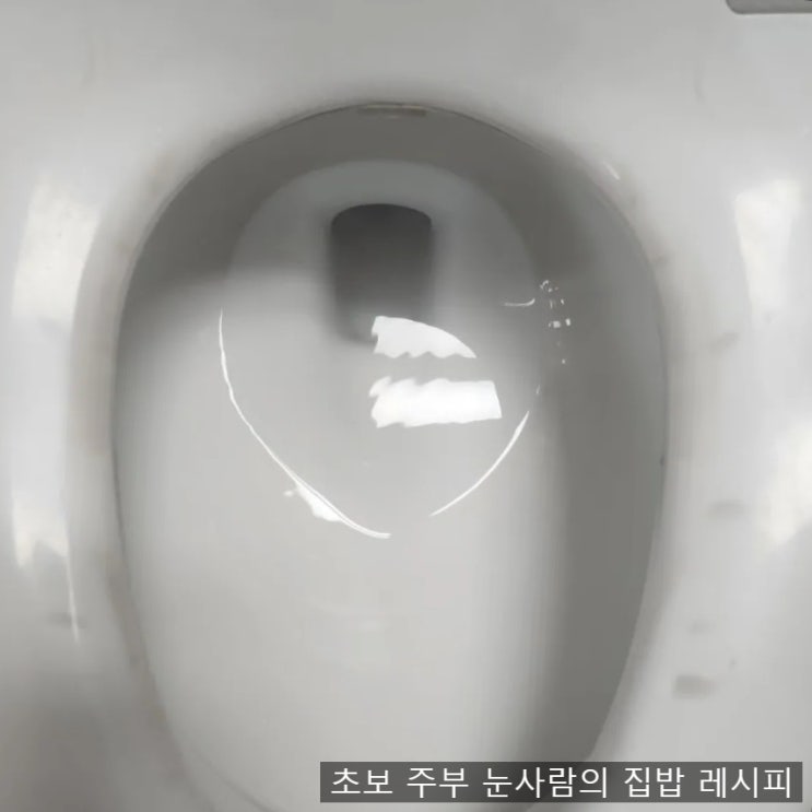  화장실 변기 청소 방법 물때 찌든때 콜라 넣고 편하게 청소하기