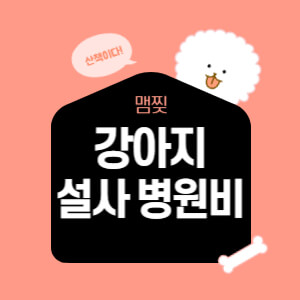  강아지 설사 병원비, 치료 후기