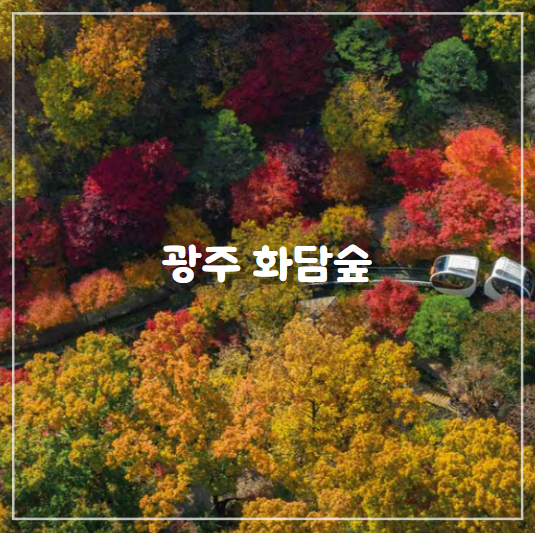  [광주] 화담숲 / 서울근교 단풍구경 명소 - 모노레일 예약성공팁