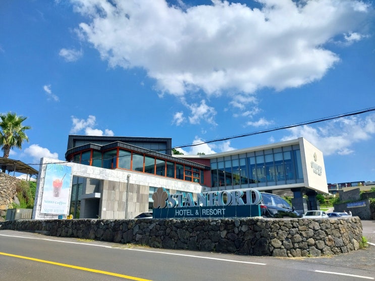  [제주 애월 오션뷰 숙소] 스탠포드호텔 제주 프리미엄 더블 내돈내산 후기