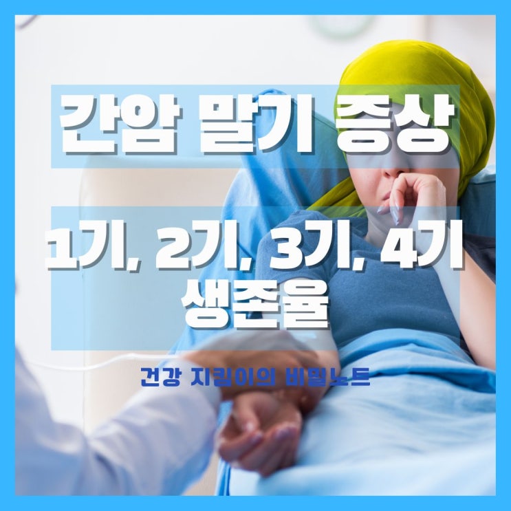  간암 초기 말기 증상, 1기, 2기, 3기, 4기 생존율