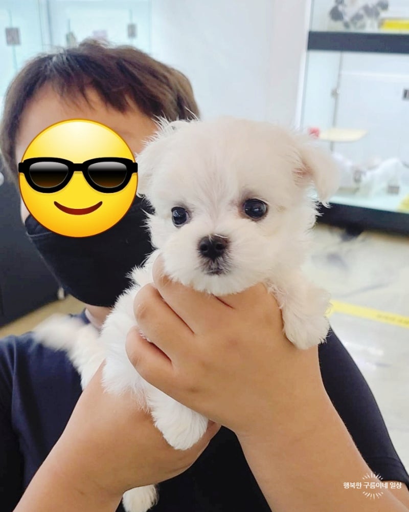 유진펫살롱