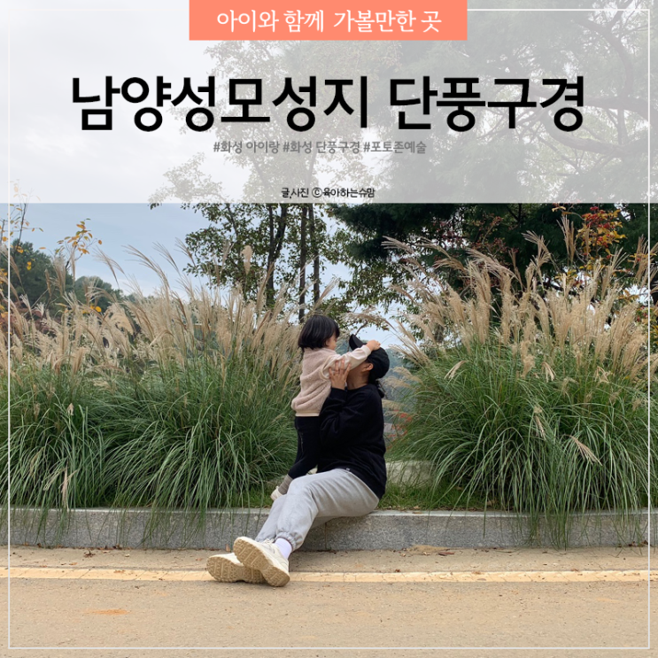  화성 아이랑 남양성모성지 단풍 구경하기 좋아요