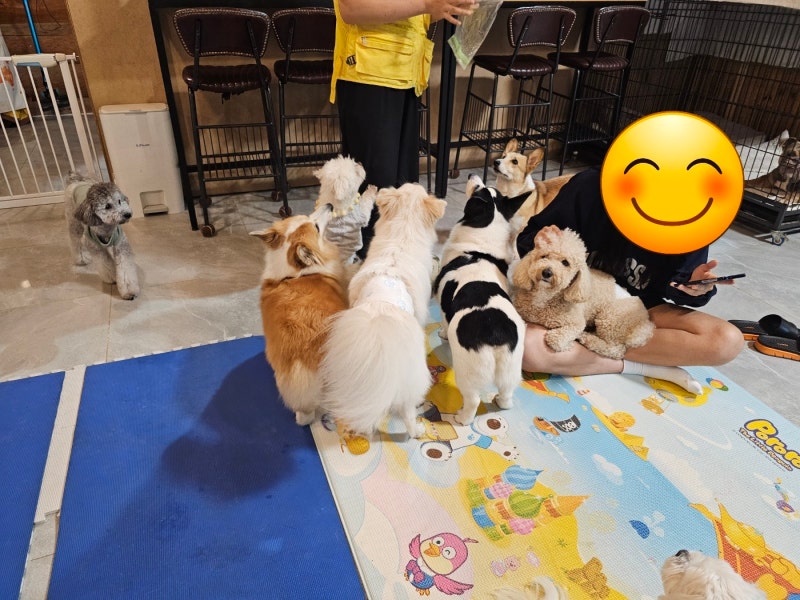 사진 2