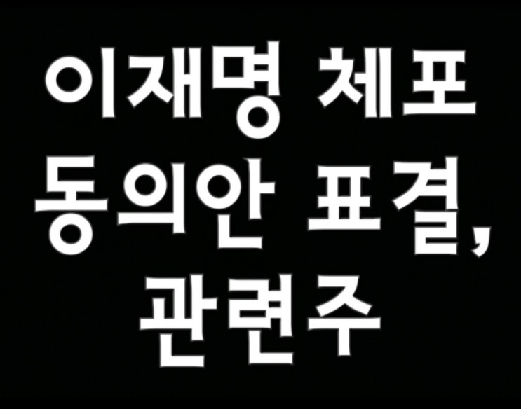<b>이재명대표</b> 체포동의안 <b>투표</b>와 테마주
