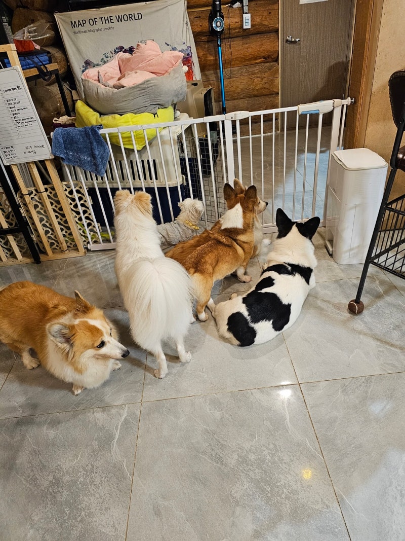 사진 3