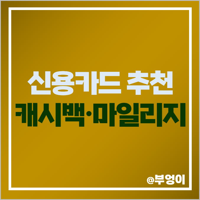 신용카드 추천 캐시백 이벤트 및 여행 마일리지 신용카드 추천 캐시백 이벤트 및 여행 마일리지