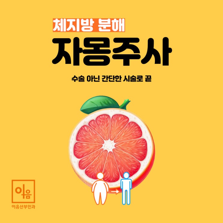  체지방분해주사 이음만의 자몽주사