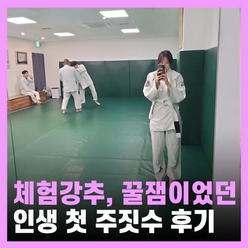  여성 운동 추천, 주짓수 체험 그레이시 주짓수 송파