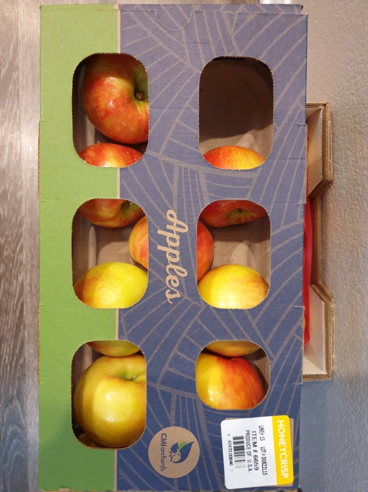  맛있는 미국 사과 Honey Crisp