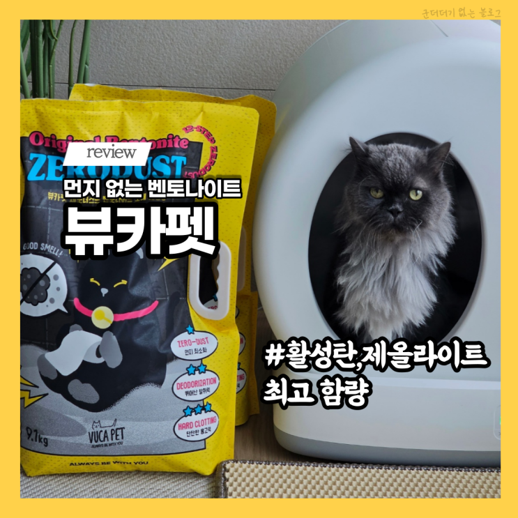  고양이모래 먼지없는모래 뷰카펫 제로더스트 벤토나이트모래 15년차 집사 추천