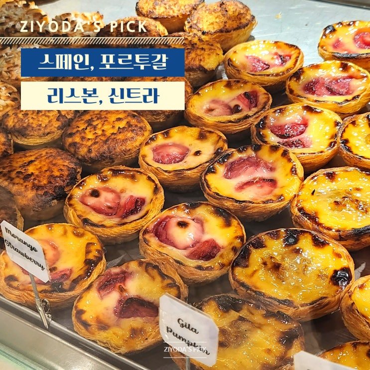  포르투갈 리스본, 신트라_로시우 광장과 신트라 궁전, 에그타르트 원조 비교