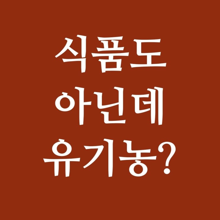  트래픽 뜻과 유기농 트래픽의 의미