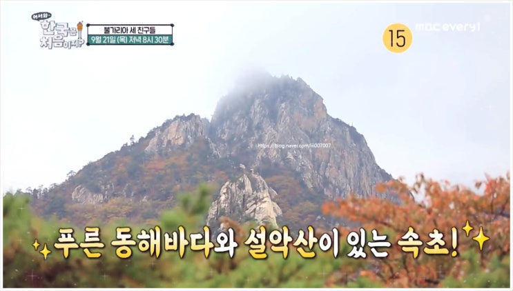  어서와한국은처음이지 314회 불가리아 친구들 이바일로 플라멘 즐라트코 티호미르 속초 여행 설악산 안개 신흥사 비빔밥 먹방 경복궁 관광 강릉 커피 춘천 닭갈비 수원 갈비 음식