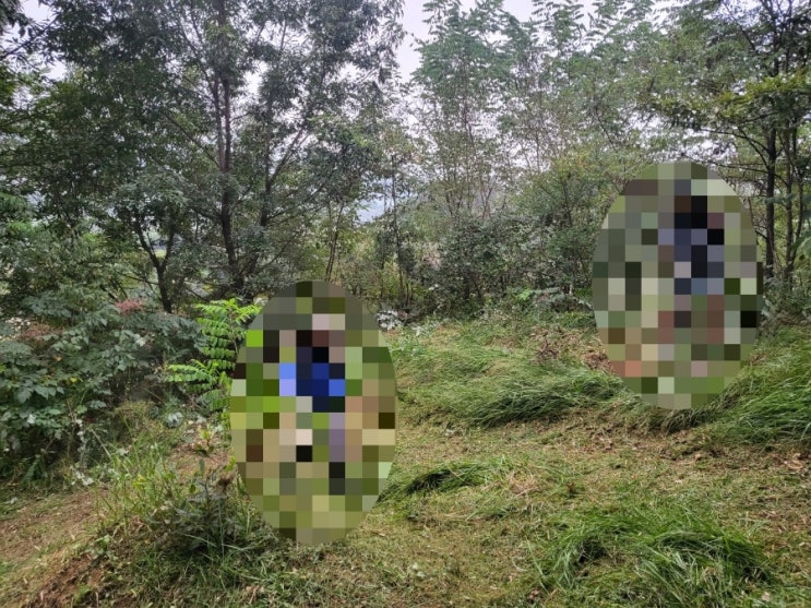  2023년 경북 김천시 신음동 2기벌초 고인돌장묘개발장의사 #김천벌초 #선산벌초 #구미벌초 #황간벌초 #영동벌초 #성주벌초 #상주벌초 #문경벌초 #칠곡벌초 #벌초대행 #벌초 #추석