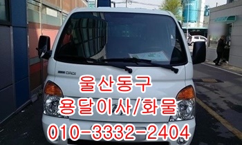 울산동구용달 방어진 양남 양북 감포 울릉도 정자, 울산동구용달 방어진 양남 양북 감포 울릉도 정자,
