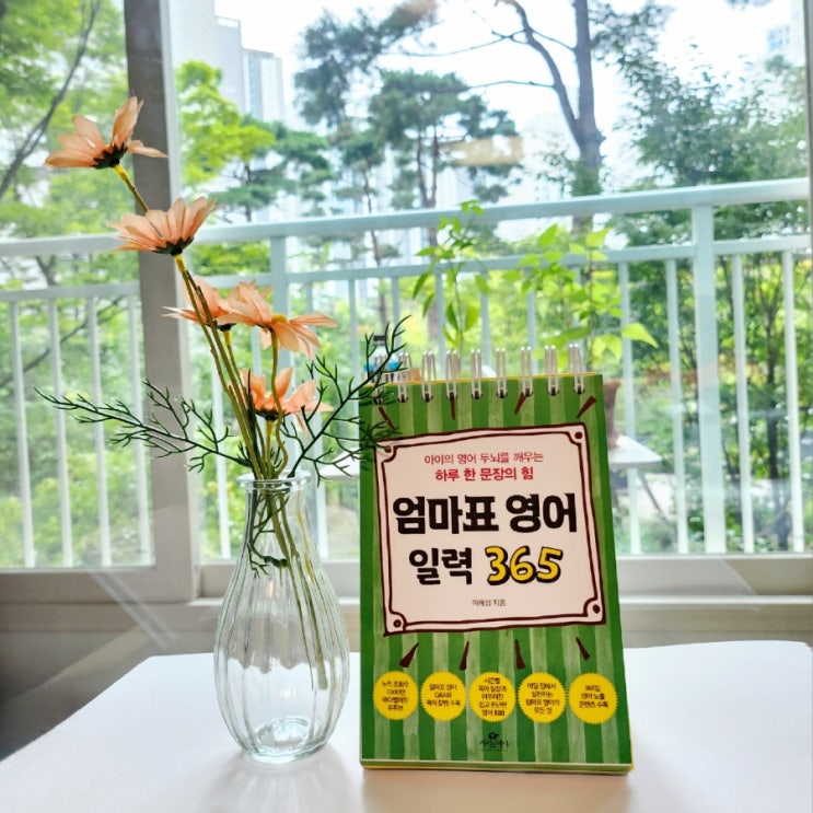  하루 한 문장의 힘, 엄마표영어 일력 365로 아이의 영어 두뇌를 깨워요