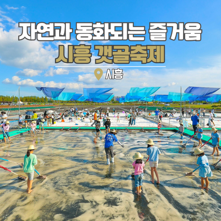  시흥 갯골 축제 기본정보 라인업 갯골생태공원 주차 셔틀버스 경기도 놀거리