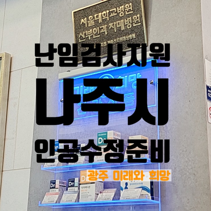  인공수정 정부지원 완료! 난임진단비용+기초검사비 돌려주는 나주시